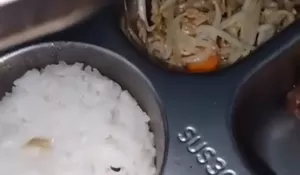 Camat Bantah Temuan Binatang di Nasi MBG di SMPN 2 Parung: Bukan Belatung, Melainkan Ulat Alami