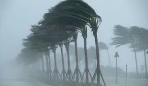 Terpaan Angin Kencang Rusak Rumah Warga di Cibinong, Penghuni Cari Tempat Aman