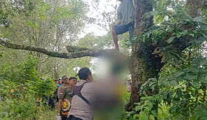 Diduga Depresi! Buruh Perkebunan di Sukabumi Ditemukan Tewas Tergantung di Pohon Durian