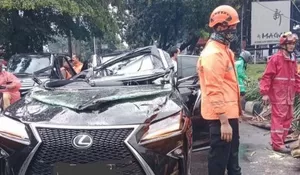 Tragedi di Pondok Indah: Mantan Direktur Danareksa, Harry Nugroho, Tewas Tertimpa Pohon Tumbang Saat Hujan Deras