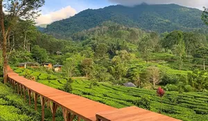20 Tempat Wisata Puncak Bogor yang Menyuguhkan Pemandangan Hijau dan Udara Sejuk Cocok untuk Ngumpul Bareng Keluarga atau Teman