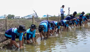 BRI Ajak Generasi Muda Jaga Ekosistem Lingkungan Lewat Penanaman Mangrove dan Pengelolaan Limbah Plastik