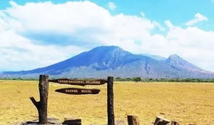 Nomor 3 Paling Unik! Ini 5 Destinasi Wisata Hits Situbondo yang Wajib Didatangi Karena Indahnya Bikin Kaget