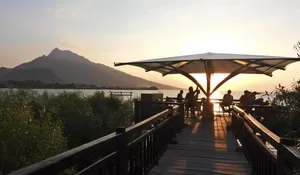 Tersembunyi di Situbondo! Apa Saja Keunikan Desa Wisata Kampung Blekok yang Bikin Turis Penasaran?