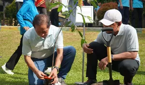Keberadaan Pohon Endemik Indonesia Perkuat Fungsi Konservasi di TMII