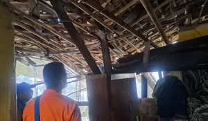 Rumah Warga di Bogor Ambruk Disapu Angin Kencang, Satu Keluarga Terpaksa Ngungsi