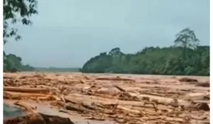 Ribuan Kayu Gelondongan di Banjir Bandang Sumatera Utara: Dugaan PHAT APL yang Picu Bencana Dahsyat