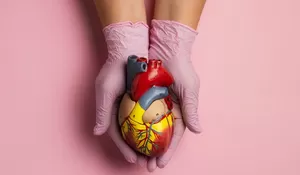 Tidak Selalu Ditandai Bibir Biru, Ini Penjelasan Dokter RSUD Kota Bogor Soal Penyakit Jantung Bawaan