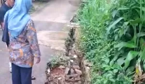 Drainase Tidak Berfungsi, Qonita Lutfiyah Respon Cepat Keluhan Warga Duren Seribu