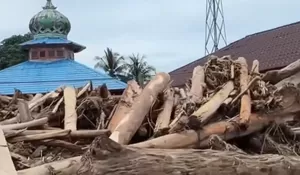 Fakta Baru: Kapolri Temukan Jejak Gergaji Mesin di Kayu Gelondongan Sumut