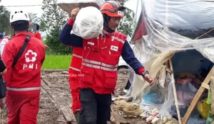 Hari Relawan Internasional 5 Desember: Momentum Mengapresiasi Pahlawan Kemanusiaan di Seluruh Dunia, Berikut Makna dan Cara Memperingatinya