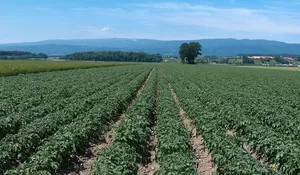 Peduli Korban Bencana, Prabowo Hapus Pinjaman KUR Petani di Aceh