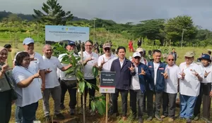 EIGER Adventure Land dan KLH Gelar Penanaman Bareng, Perkuat Ekosistem Hulu Puncak Bogor