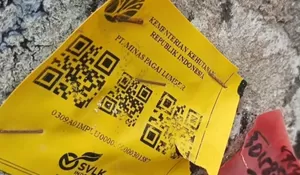 Fakta Kayu Gelondongan Berstiker Kemenhut yang Berserakan di Lampung, Ditemukan Bersamaan Momen Bencana di Sumatera