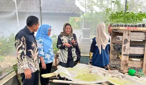 Potensi Serangan Hama dan Penyakit Tanaman Meningkat Saat Musim Hujan, Dispangtan Purwakarta Sebar Tim Pengendali 