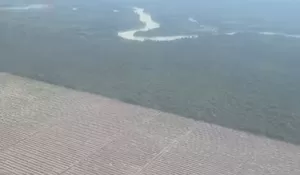 Tunjukkan Deforestasi Besar-besaran di Indonesia, Begini Rekaman Influencer Luar Negeri: Biarkan Sumatera Beri Pelajaran