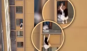 Kronologi Aksi Ekstrem Selingkuhan di Tiongkok: Kabur Lewat Dinding Apartemen Saat Istri Sah Tiba-Tiba Pulang