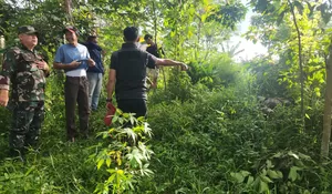 Penemuan Mayat Membusuk Ditengah Kebun Gegerkan Warga Plered Purwakarta