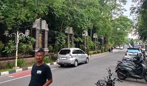 Antisipasi Tumbang Saat Angin Kencang, Disperkim Purwakarta Segera Pangkas Pohon di Kawasan Situ Buleud