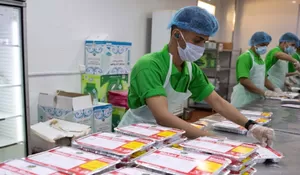 Kemenhaj Percepat Distribusi Makanan Siap Saji (RTE): Jamin Konsumsi Jemaah Haji Lancar di Fase Krusial