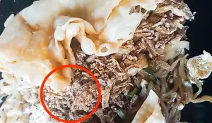 Gawat Mie Gacoan Viral di Media Center, Karena Temukan Ini 