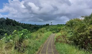 Wisata Bukit Campuhan Ubud, Jejak Spiritualitas Dan Kekaguman Akan Alam