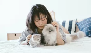 Manfaat Memelihara Kucing, Lebih Dari Sekedar Hewan Peliharaan