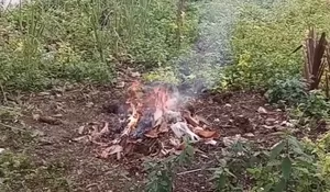 Catat! Pelaku Bakar Sampah Sembarangan Dapat Dikenakan Pidana Penjara Dan Denda Milyaran Rupiah