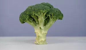 Resep MPASI Brokoli Yang Lezat Dan Bergizi Untuk Bayi Anda