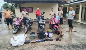 Razia Polisi Di Lampung Timur Gagalkan Kegiatan Sabung Ayam Illegal
