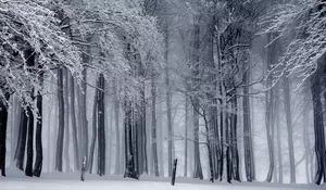 Kenapa Negara 4 Musim Cenderung Lebih Kaya Dan Sejahtera? Ini Perspektif Mahasiswa S3 Asal Indonesia Yang Kuliah Di Jepang