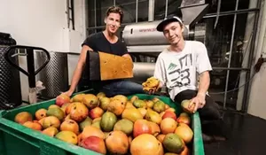 Tengok Inovasi Ramah Lingkungan Ini! Buah Mangga Disulap Menjadi Alternatif Kulit Sintetis Untuk Berbagai Produksi