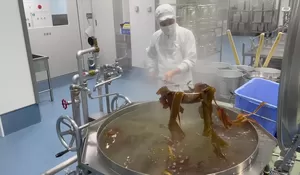 Intip Rahasia Majunya Bangsa Jepang, Salah Satunya Membudayakan Makan Siang Di Sekolah Bagi Pelajar