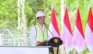 Akhir Desember 2023, Kinerja Presiden Jokowi Masih Diapresiasi Dari Berbagai Lini Profesi