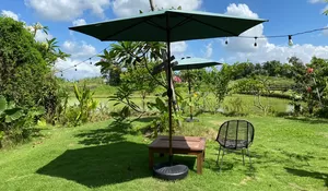 Menikmati Keindahan Sawah Di Siang Hari, Sumber Ketenangan Dan Inspirasi