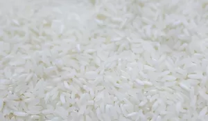 9 Jenis Nasi Khas Betawi Yang Perlu Anda Ketahui, Sudah Pernah Coba?