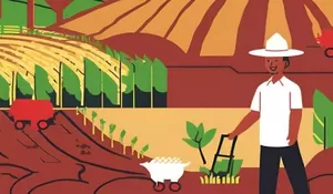 Apasih Reforma Agraria? Berikut Penjelasannya Serta Dampaknya Terhadap Peningkatan Kesejahteraan Para Petani di Indonesia