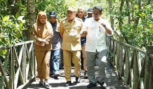 PJ BUPATI PPU DORONG POTENSI EKOWISATA MANGROVE KAMPUNG BARU