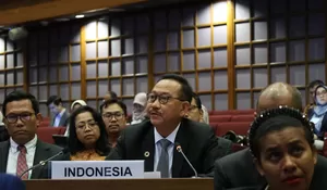 OIKN SOFT LAUNCHING VLR SDGs NUSANTARA DI FORUM PBB