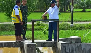 OPTIMALISASI LAHAN DI DIR SEBAKUNG DUKUNG SWASEMBADA PANGAN UNTUK IKN