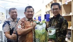 KABUPATEN PPU GANDENG IPB KEMBANGKAN VARIETAS PADI UNGGUL UNTUK PASOK PANGAN IKN   
