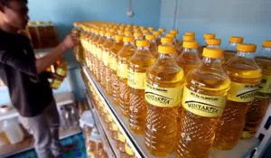 Pemerintah Batalkan Kenaikan Harga Minyakita, HET Tetap Rp15.700 per Liter