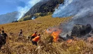 Gunung Bromo Terbakar, Api di Blok Jantur Makin Dekati Rumah Warga