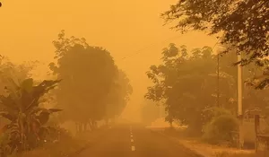 Karhutla Kalteng Belum Usai, ISPU Palangka Raya Tembus Angka 1.300