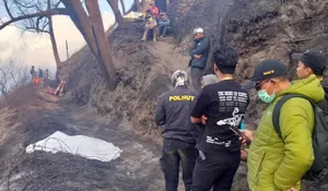 Asap Pekat dan Angin Berubah Arah, Begini Kronologi Tragedi Karhutla Bromo
