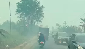 Bahaya Karhutla untuk Penghendara Motor: Dari Risiko Pernapasan hingga Panduan Amankan Perjalanan