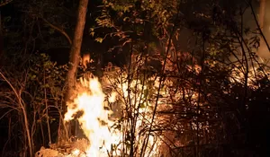 Gunung Arjuno-Welirang Terbakar, 70 Titik Api Terdeteksi dari Pasuruan hingga Batu