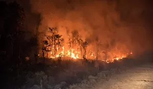 3 Hari Padamkan Api Karhutla, Warga Papua Hadapi Ancaman di Tanah Leluhur