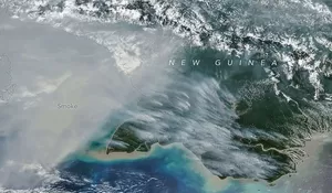 Temuan NASA, Emisi Karbon Karhutla Papua Tembus 35 Juta Ton, Tertinggi Ketiga dalam Sejarah