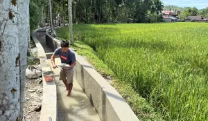 Sistem Irigasi Krueng Baru Dipulihkan, 340 Hektare Sawah Ditargetkan Kembali Produktif
